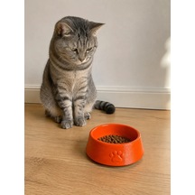 Pati Desen Model Beton Kedi Köpek Mama Ve Su Kabı 13 Cm Çap X 4 Cm - Turuncu