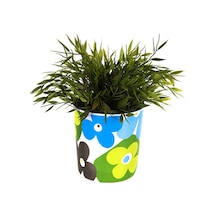 Sıa Saksı,Mavi Papatyalı Melamin Çiçeklik 14X14Cm