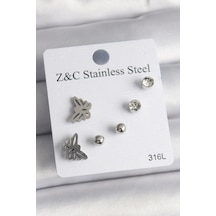 316l Çelik Gümüş Renk Zirkon Taşlı Kelebek Model Kadın Küpe Seti Çok Renkli