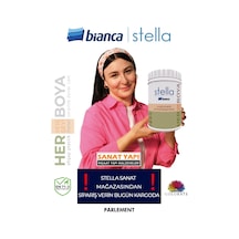 Stella Boya Yeni Renkler 1lt Diğer