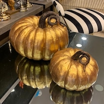 Ikili Bal Kabağı-Mo108-1