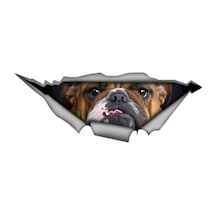 Bulldog Köpek Sticker Yapıştırma