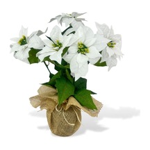 Yapay Çiçek Atatürk Çiçeği Keten Saksılı Yapay Bitki Salon Çiçeği Beyaz