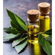 Defne Yaprağı Yağı 20 ML