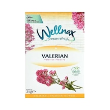 Wellnax Elbise Dolap Ferahlatıcı Tropikal Çiçekleri 20 Gr Blk-983 9831 0807