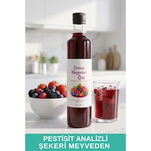 Orman Meyveleri Özü 680gr