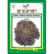 1 Paket Kırmızı Kıvırcık Marul Tohumu Organik Hasat