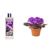 Tropikal Bitki Besini - Menekşe için Özel 1000 Ml