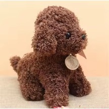 Peluş Oyuncak