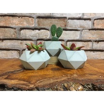 Bernami Mum Pinterest Üçlü Ham Beton Döküm Kaktüs Ve Skulent Saksı Seti Prizma Diğer
