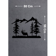 80X56 Cm