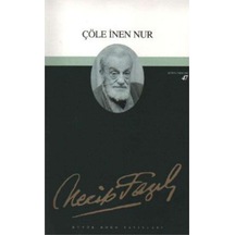 Çöle İnen Nur : 39 - Necip Fazıl Bütün Eserleri-necip Fazıl Kısakürek