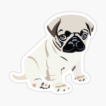 Pug Irkı Cinsi Köpek Sticker Araba Oto Yapıştırması 17Cm A2