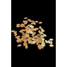 Oval Gold 8x13 Mm Çift Delikli Pul Payet 30 Gr Tülbent, Oya, Havlu Malzemesi