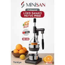Minisan Mns-506 Profesyonel Sanayi Tipi Kollu Meyve Presi
