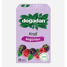 Doğadan Bitki Çayı Böğürtlen 20 'li 24'li Paket