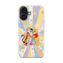 iPhone Uyumlu 16 Desen250 Çok Renkli