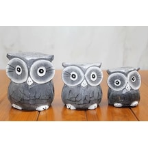 Ahşap 3'lü Baykuş Seti Polos:2