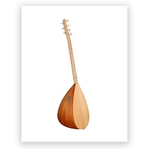 Uzun Sap Öğrenci Bağlaması-kılıf+metod Kitabı+tezene İle Birlikte