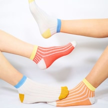 5 Çift Pamuklu Basic Derbili Kadın Çorap