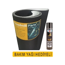 Dynamic 2000 Koşu Bandı Paleti - Kayışı