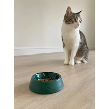 Hubrendy Sh Pati Desen Model Beton Kedi Köpek Mama Ve Su Kabı 13 Cm Çap X 4 Cm - Yeşil