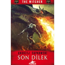 Son Dilek - The Witcher 1