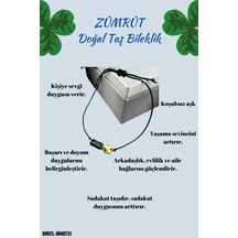 Çok Renkli