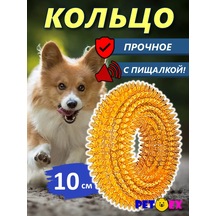 Pet-ex Küçük Köpekler İçin 10 Cm'lik Zangırtılı Ve Dikenli Köpek Tasması 241229175