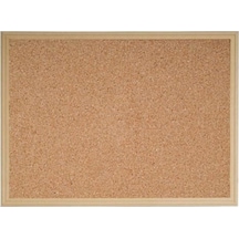 Noki Inter Mantar Pano Mdf Çerçeve 45X60