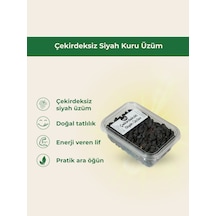 Çekirdeksiz Siyah Kuru Üzüm-6697