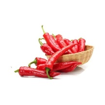 Meşhur Adana Salçalık Biber Tohumu Ekim Seti 15 Tohum Saksı Toprak Kombin