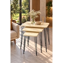 Odera Tel Zigon Sehpa 3'lü Set Metal Ayaklı Modern Retro Salon Sehpası Diğer