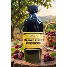 Karadut Şurubu 220 Gr