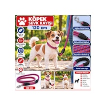 Senye Köpek Sevk Kayışı Örgülü Fitil Kırmızı-mavi 120 Cm Çok Renkli