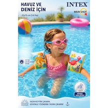 Mainshop Intex 3-6 Yaş Eğlenceli Figürlü Çocuk Yüzme Kolluğu 23x15 Cm M-58652