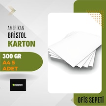 Amerikan Bristol Karton 300 Gr A4 5 Adet - Ofis Sepeti