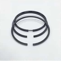 Std. Segman 95 Mm. Tk X3 1900677