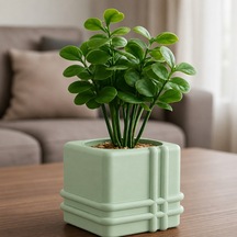 Bezos 3d Baskı Square Planter - Izgara Desenli Küp Saksı-mint Nıda