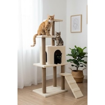Tr Pet Kedi Tırmalama Kedi Evi Ve Kedi Oyun Evi Bej