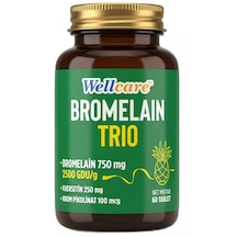 Wellcare Bromelain Trio 60 Tablet