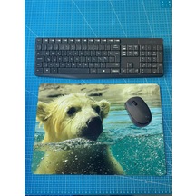 Lexroo Kutup Ayısı Baskılı 28x40 Cm Mouse Pad Standart