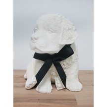 Missi Siyah Kurdelalı Black Vanilya Kokulu Köpek Biblo