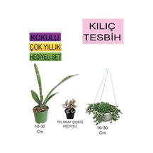 3'lü Set Tek Dikim Kılıç+askılı Saksılı Tesbih+hediyelik Telgraf Çiçeği