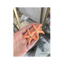 Gold Detaylı Yıldız Küpe Turuncu