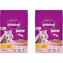 Whiskas Whıskas Kuru Mama 300gr Yavru Tavuklu X2