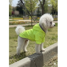 Kedi - Köpek Kıyafeti Kapşonlu Yeşil Yağmurluk & Mont