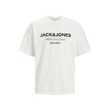 Jack&jones Gale Erkek Beyaz Bisiklet Yaka Tişört 12247782-CLD