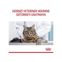 2As Royal Canin Hair & Skin Jelly Tüy Ve Cilt Sağlığı İçin Yetişkin Kedi Yaş Sı 85 G 12x 12 Gri
