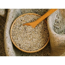 Kanarya Yemi İthal Kanada Aspur 500 G